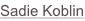 shapeimage_6_link_0