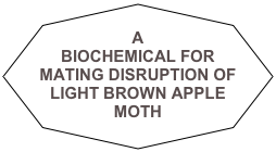 
A 
BIOCHEMICAL FOR MATING DISRUPTION OF
LIGHT BROWN APPLE MOTH 